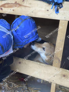 Heezen.89779159 3349185365111561 1362217537273593856 o