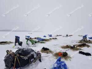 Heezen.90871676 10215535052146164 7643259701869674496 n