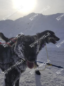 Heezen.90936382 10215535050746129 5287002675773177856 n