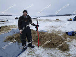 Heezen.90966297 10215535051866157 38648628285276160 n