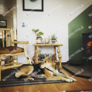 Heezen.91473790 3382599611770136 3893102629340839936 o