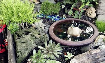 Murray County Master  Gardeners hold annual Summer Garden Tour