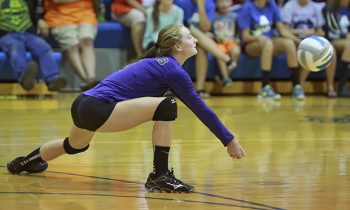 Rebels slay the Adrian Dragons in five sets