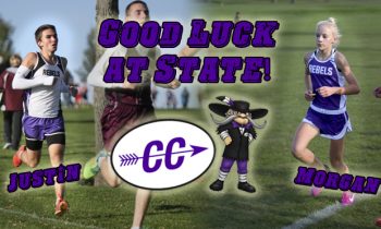 F/MCC Cross Country finishes season as team; Gehl, Clarke advance to state competition