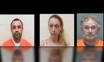 Drug Task Force arrest three in Lake Wilson