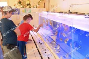 Candid (A) (19 of 49)