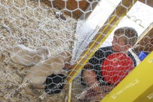 Candid (A) (25 of 49)