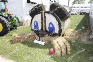 Candid (A) (27 of 49)