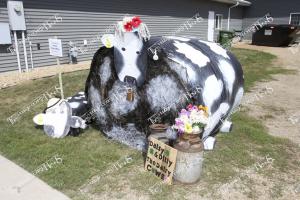 Candid (A) (28 of 49)