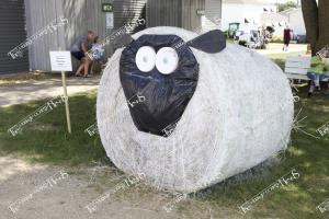 Candid (A) (29 of 49)