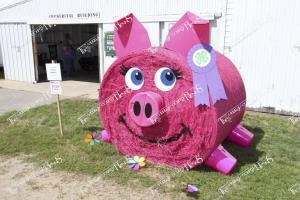 Candid (A) (30 of 49)