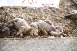 Candid (S) (27 of 31)