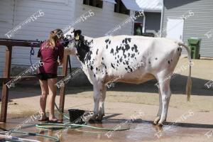 Candid (S) (29 of 31)