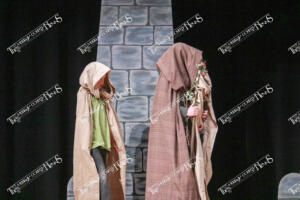 Children's Theater 2020 - The Beast of Tamarack Castle-8