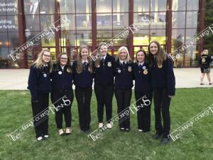 FFA.State.59203944 821553268243193 2666564796870033408 n