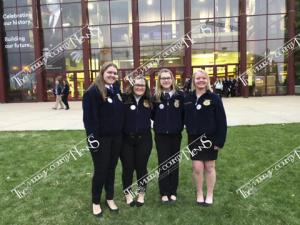 FFA.State.59295120 821553194909867 7843945828346494976 n