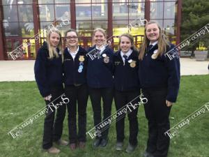 FFA.State.59301134 821553098243210 5593968927630688256 n