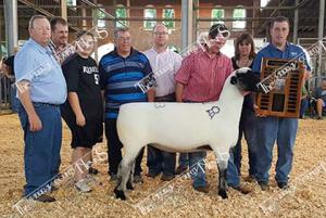 Herrig.supremeewe mwsrs