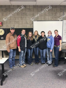 Horse.web edit - IMG 2719