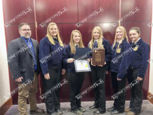 Horse.web edit - IMG 2730