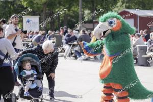 Hospital.Picnic (4 of 14)