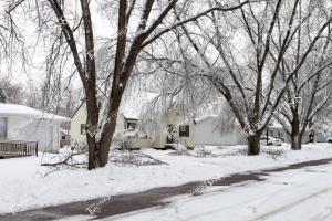 Ice.Storm.4-12 (1 of 5)