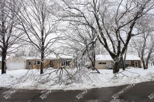 Ice.Storm.4-12 (2 of 5)