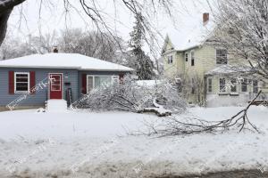 Ice.Storm.4-12 (3 of 5)