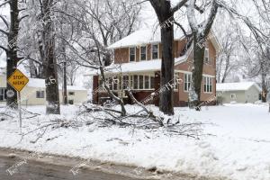 Ice.Storm.4-12 (4 of 5)