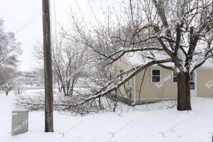 Ice.Storm.4-12 (5 of 5)