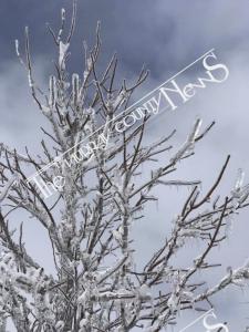 Ice.Storm.56673206 10156402536817842 3768886587388067840 n