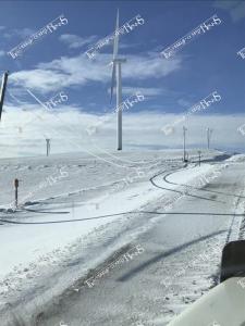 Ice.Storm.56821247 2120321221408620 2747336097867497472 n