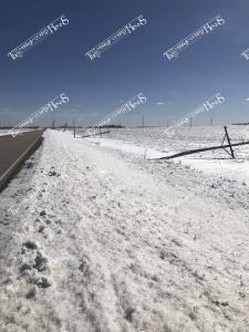 Ice.Storm.56862219 2120312041409538 9127262656024018944 n