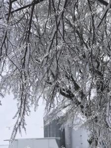 Ice.Storm.56894495 10156402536842842 5472084314185269248 n