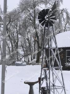 Ice.Storm.57006263 10156402537167842 7158110491150123008 o