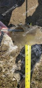 Ice.Storm.57049716 2122313951209347 2005446923447697408 n