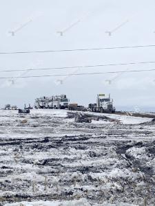 Ice.Storm.57299652 2118871038220305 1212762046991433728 o-1