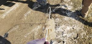 Ice.Storm.57360264 2122313941209348 6088774268508700672 n