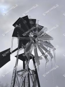 Ice.Storm.57433591 10156402537277842 2626094050184265728 o