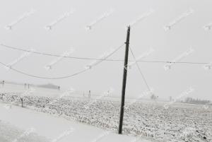 Ice.Storm.downed line1