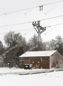 Ice.Storm.downed pole. witzels