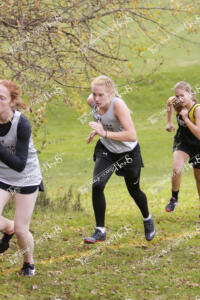 MCC-F.CC.10-14 (5 of 83)