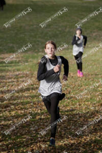 MCC-F.CC.10-14 (60 of 83)