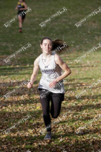 MCC-F.CC.10-14 (77 of 83)