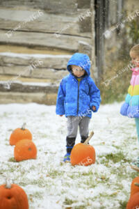 Pumpkinfest (19 of 23)