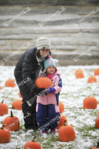 Pumpkinfest (1 of 23)