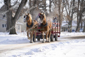 Santa - Currie (23 of 27)
