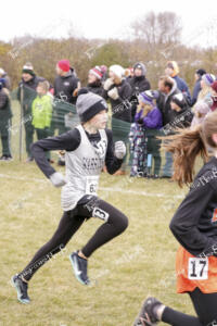 State CC 2019 (2 of 6)