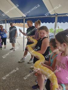 T&C.64209936 1888646291237282 3840961520208969728 n