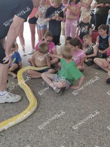 T&C.64404840 1888645887903989 98631243893047296 n